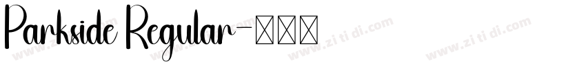Parkside Regular字体转换